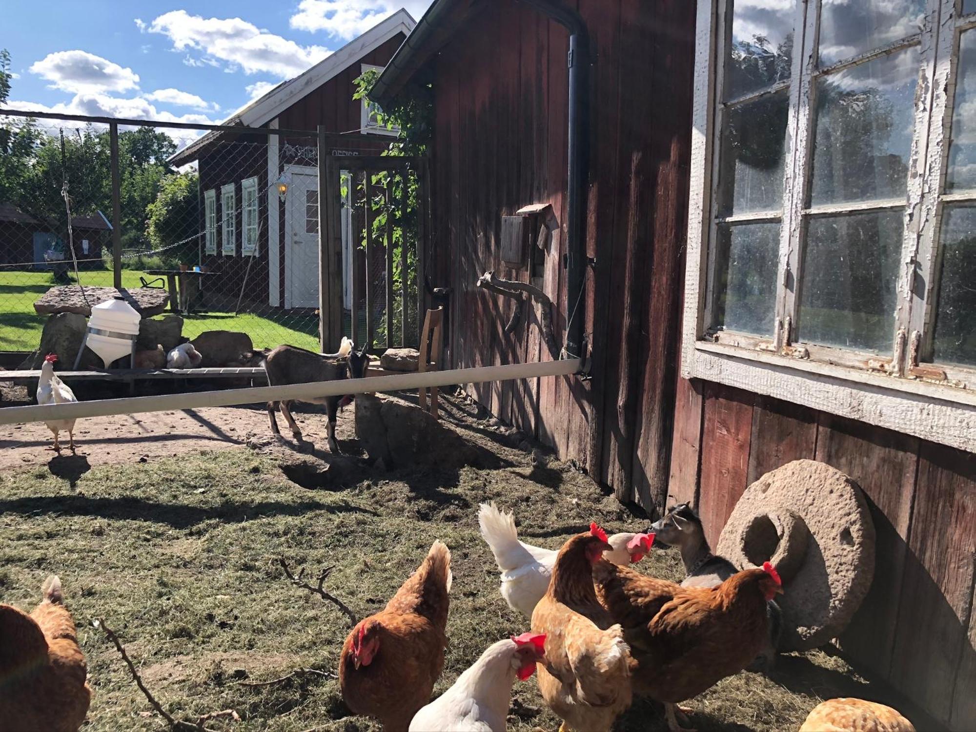 Aeventyrsgardens Vandrarhem, Kinnekulle Kallby Экстерьер фото